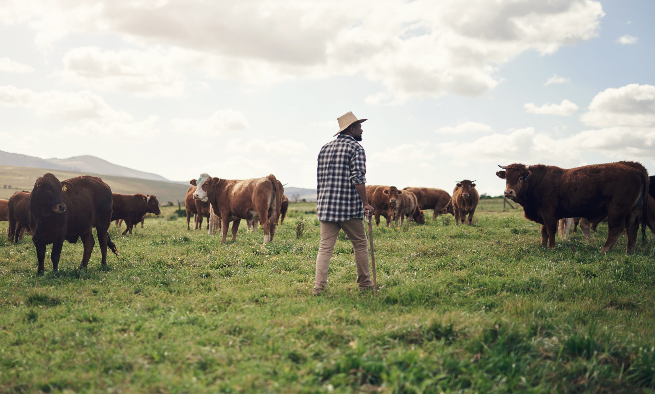 farmer