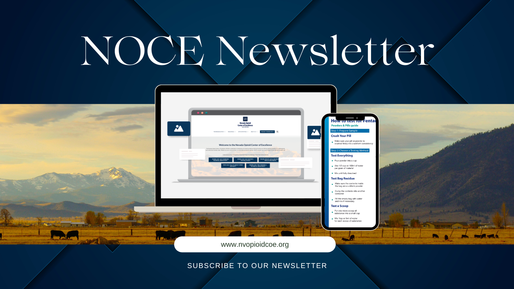 subscribe to our newsletter NOCE Newsletter www.nvopioidcoe.org