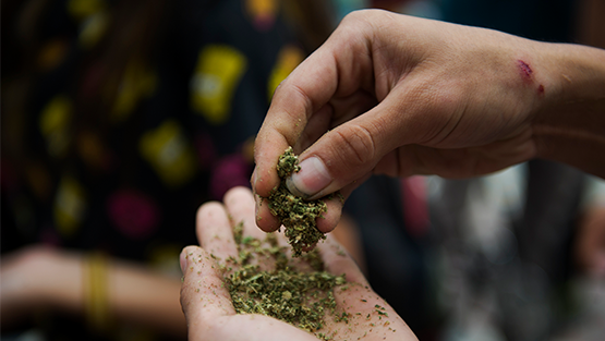 Hands holding K2 Spice Drug