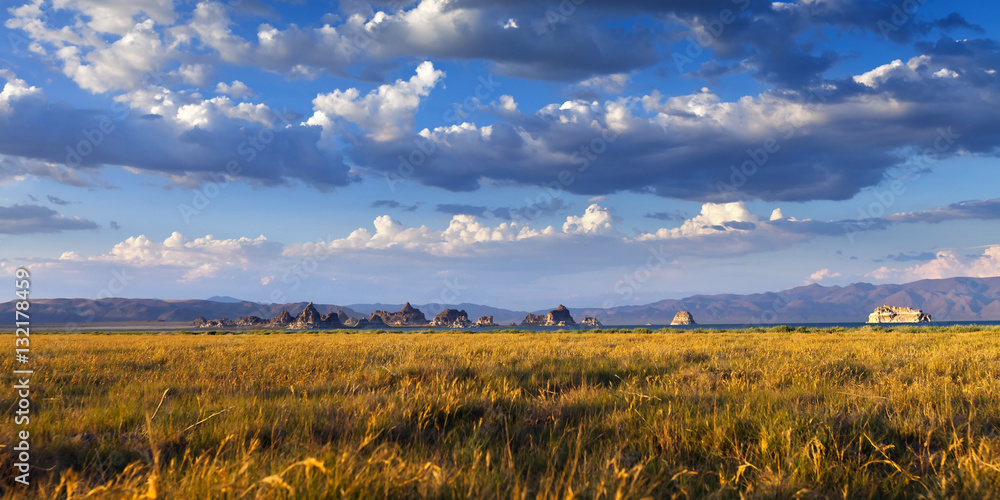 Wide prairie of tall yellow grass with low rock formations and mountains beneath dramatic clouds