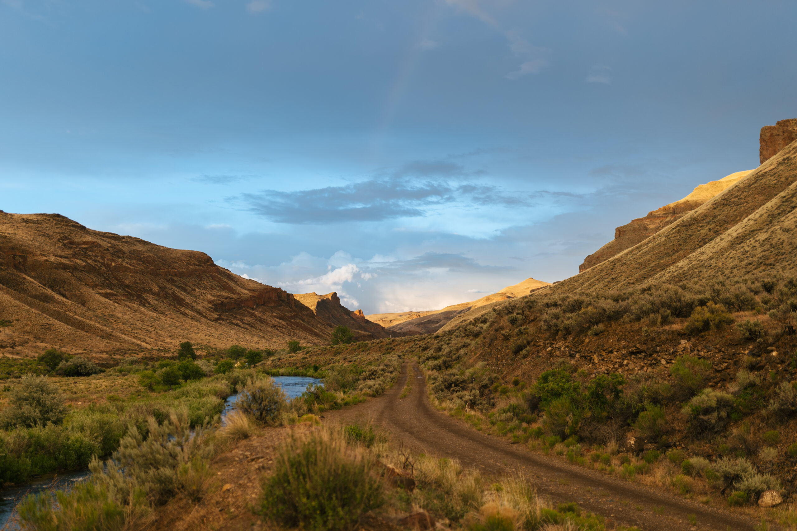Rugged canyon landscape with a winding dirt path, brush-covered hills, and a narrow stream at sunset light