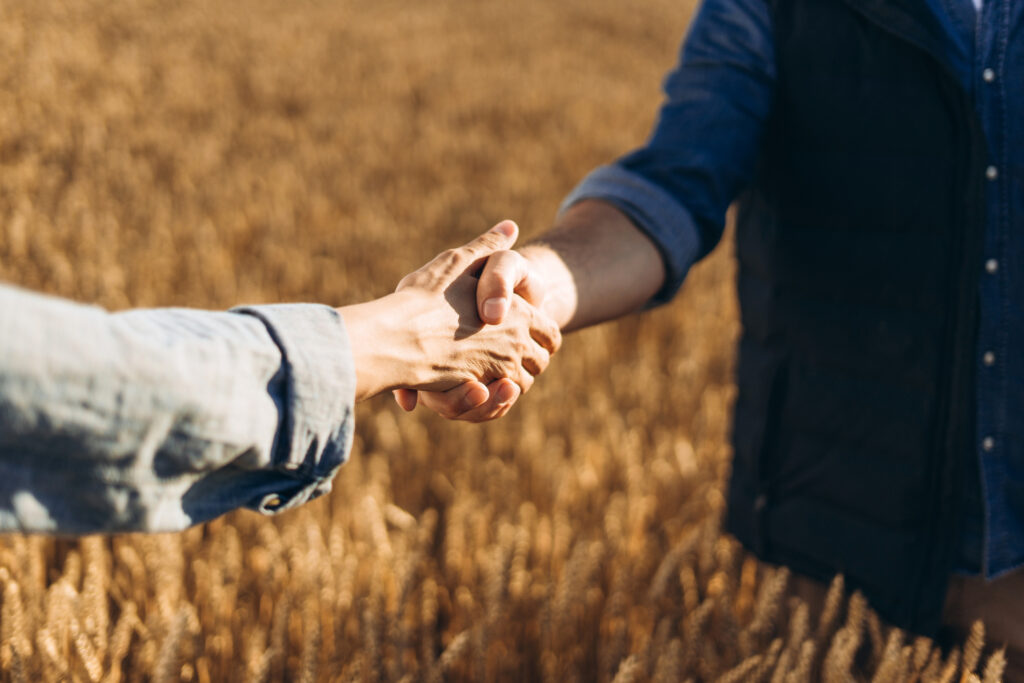 Two people shaking hands in a sunlit wheat field.
