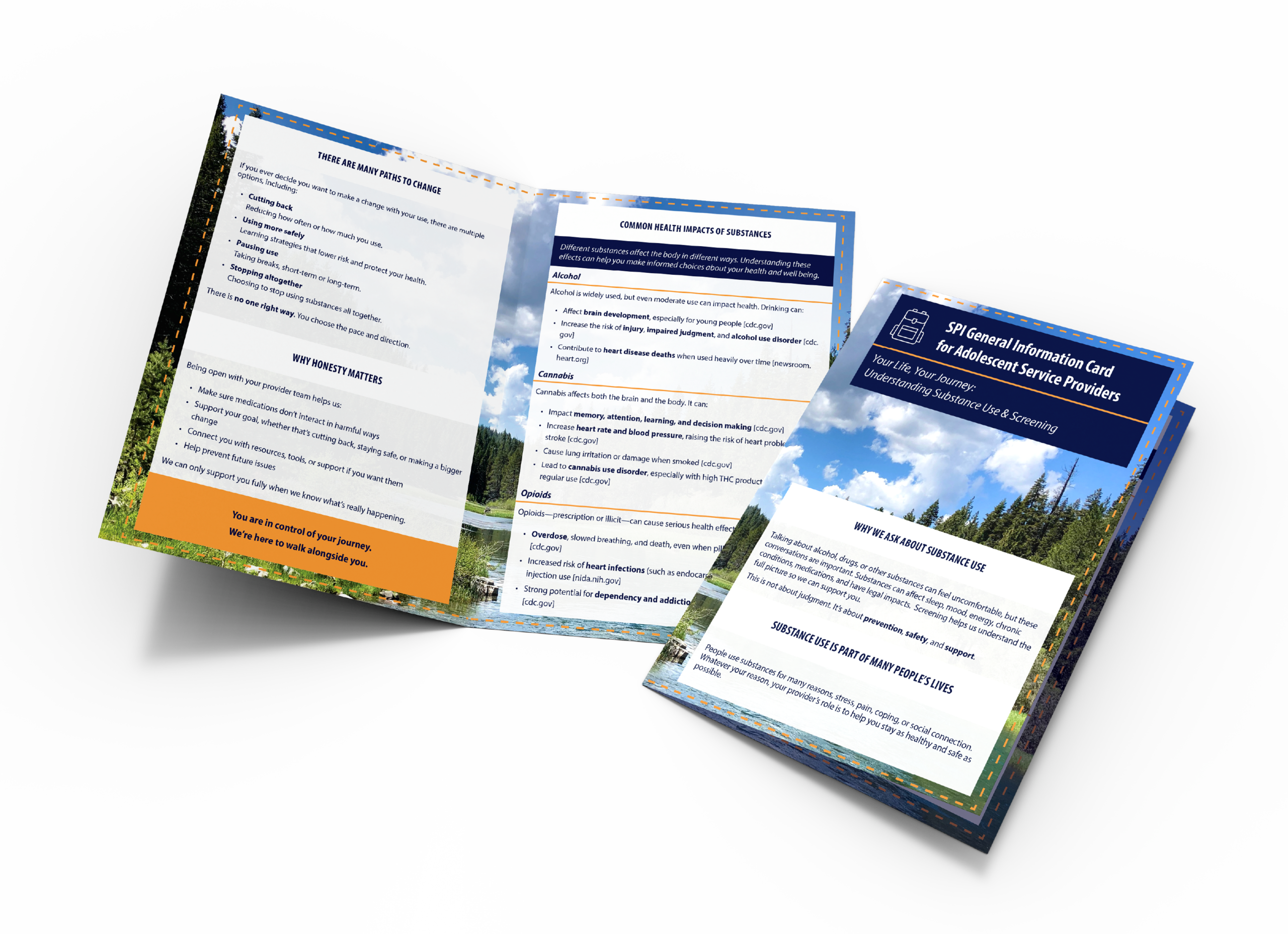 Adolescent Service Provider Care Conversation Handout thumbnail.