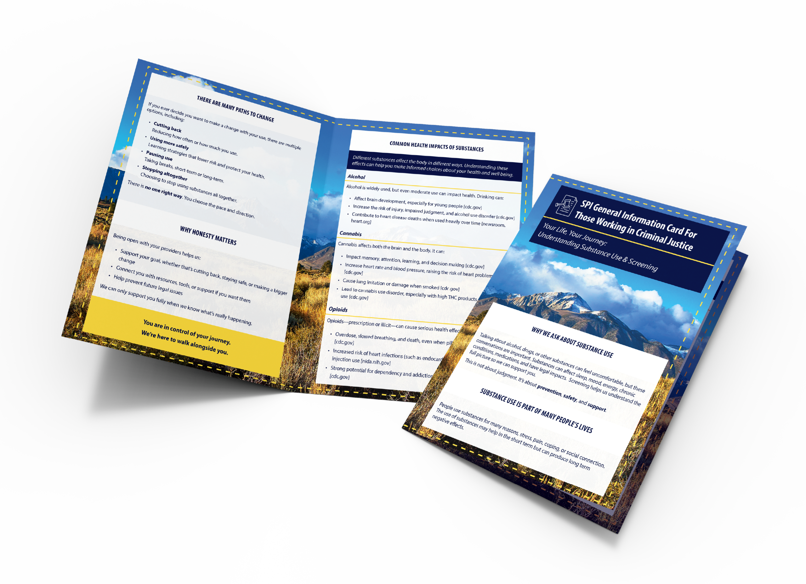 Criminal Justice Professional Care Conversation Handout thumbnail.