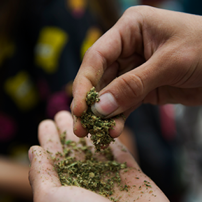 6448_ft-image-sm Hands holding K2 Spice Drug