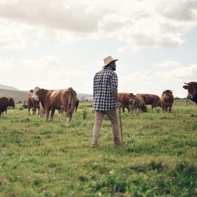 farmer